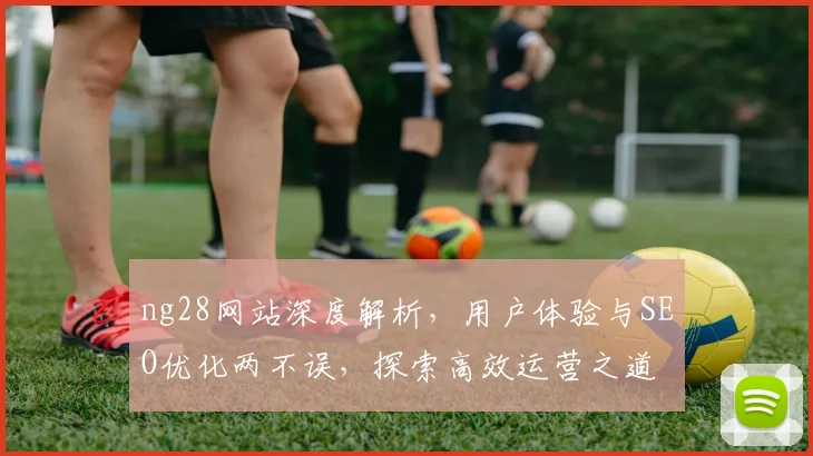 ng28网站深度解析，用户体验与SEO优化两不误，探索高效运营之道