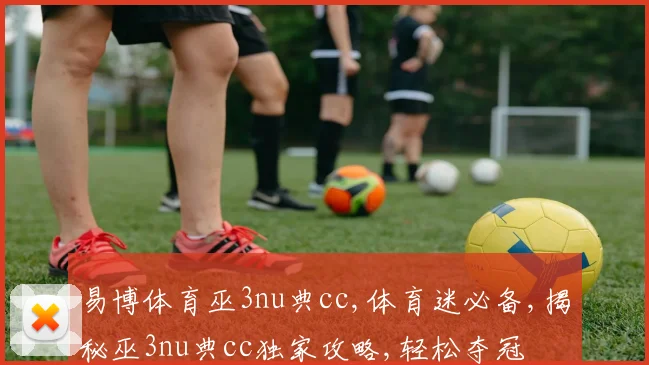 易博体育巫3nu典cc,体育迷必备,揭秘巫3nu典cc独家攻略,轻松夺冠