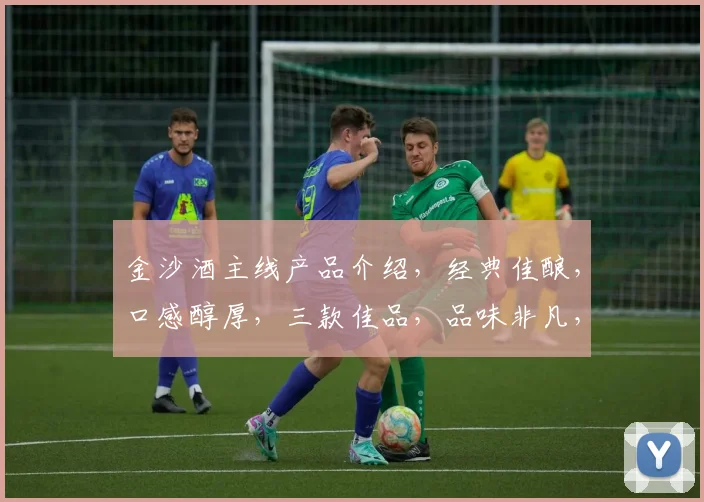 金沙酒主线产品介绍，经典佳酿，口感醇厚，三款佳品，品味非凡，传承千年。