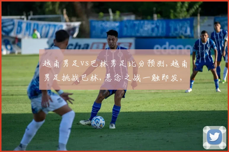 越南男足vs巴林男足比分预测,越南男足挑战巴林,悬念之战一触即发,谁能笑到最后